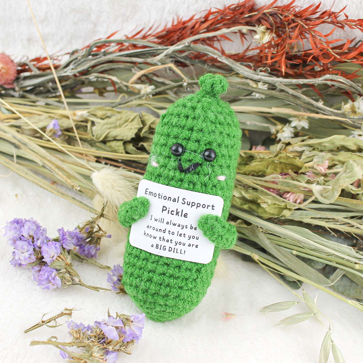 Emotional Support Pickle - Pockets of Bliss