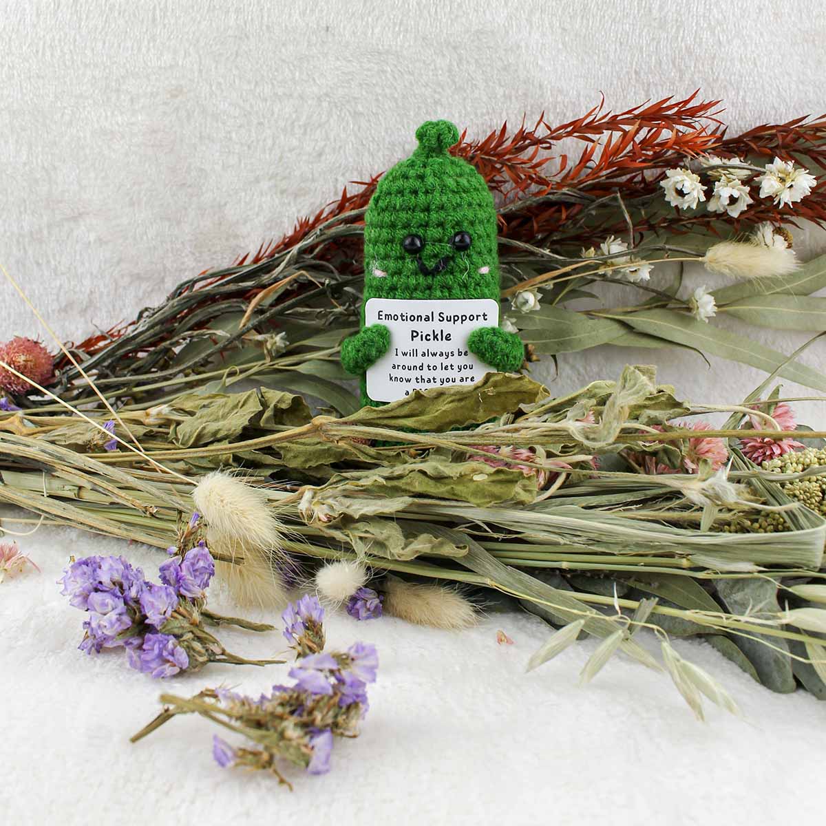 Emotional Support Pickle - Pockets of Bliss