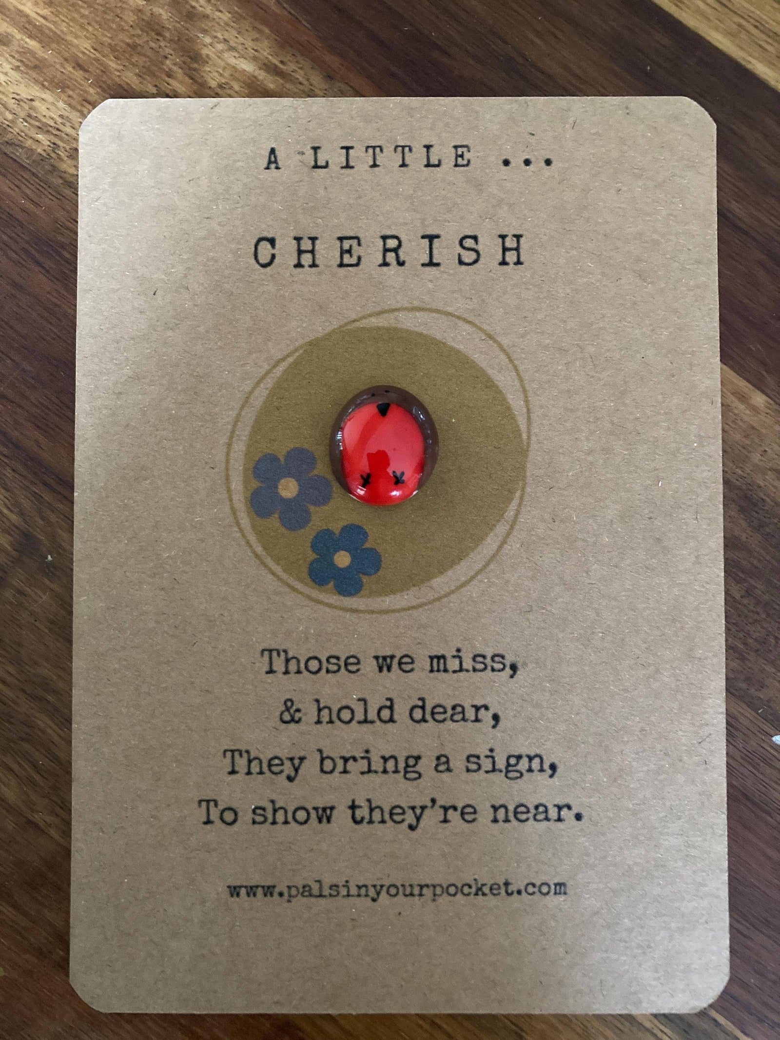 A Little Cherish Pocket Token – Memorial Ladybird Gift - Pockets of Bliss