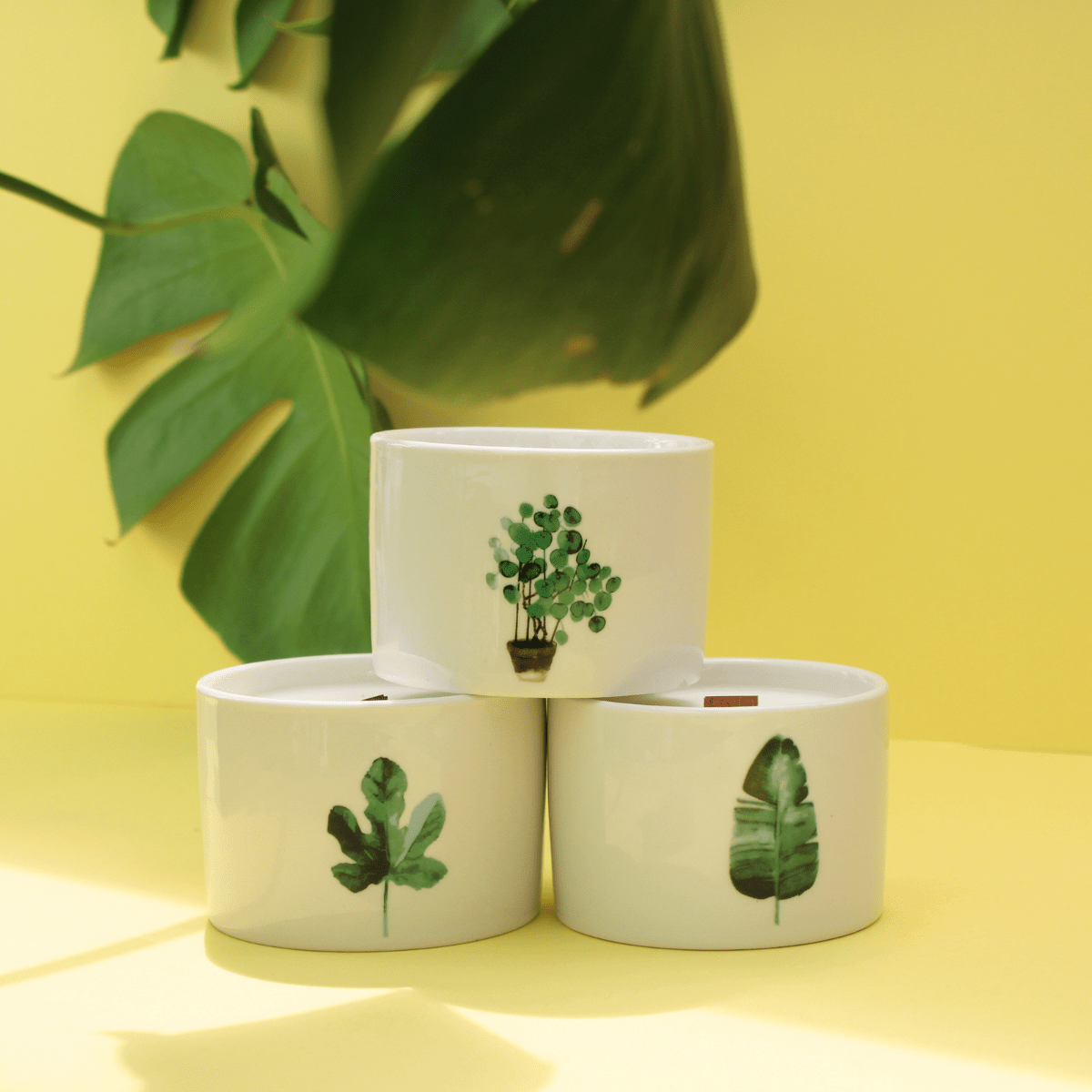 Japanese Garden Botanical Candle – Soy Wax Ceramic Candle with Rosewood Scent - Pockets of Bliss