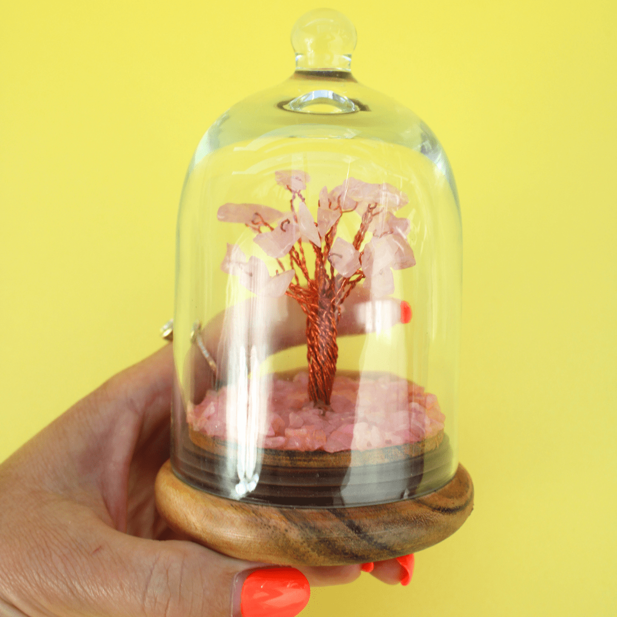 Rose Quartz Crystal Tree in Glass Dome – Healing Gemstone Décor for Love & Harmony - Pockets of Bliss