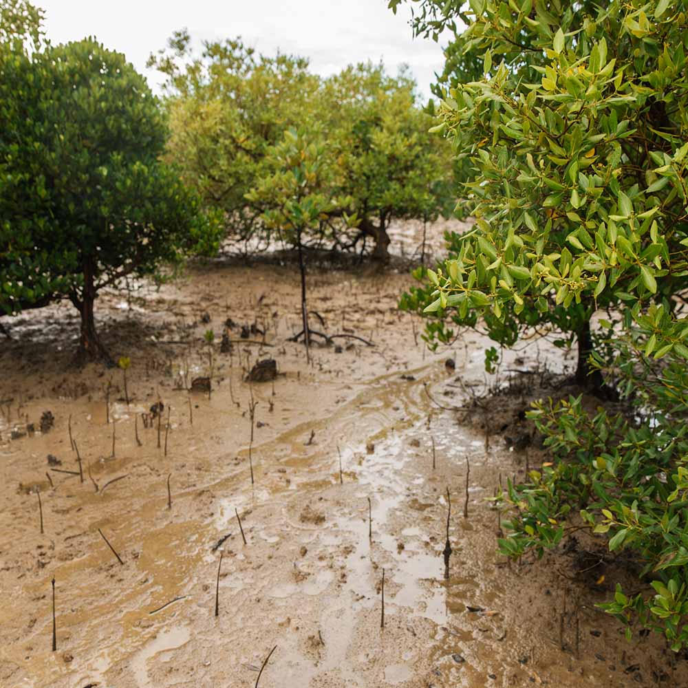 Find out about our supported projects and the impact we can have! - Pockets of Bliss