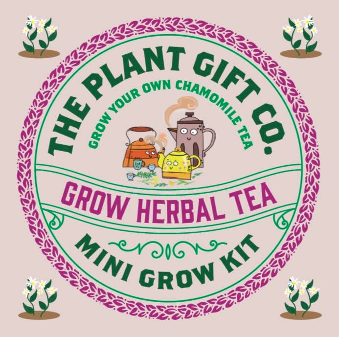 Herbal Tea. Eco Mini Grow-Kit (only ship within the UK) - Pockets of Bliss