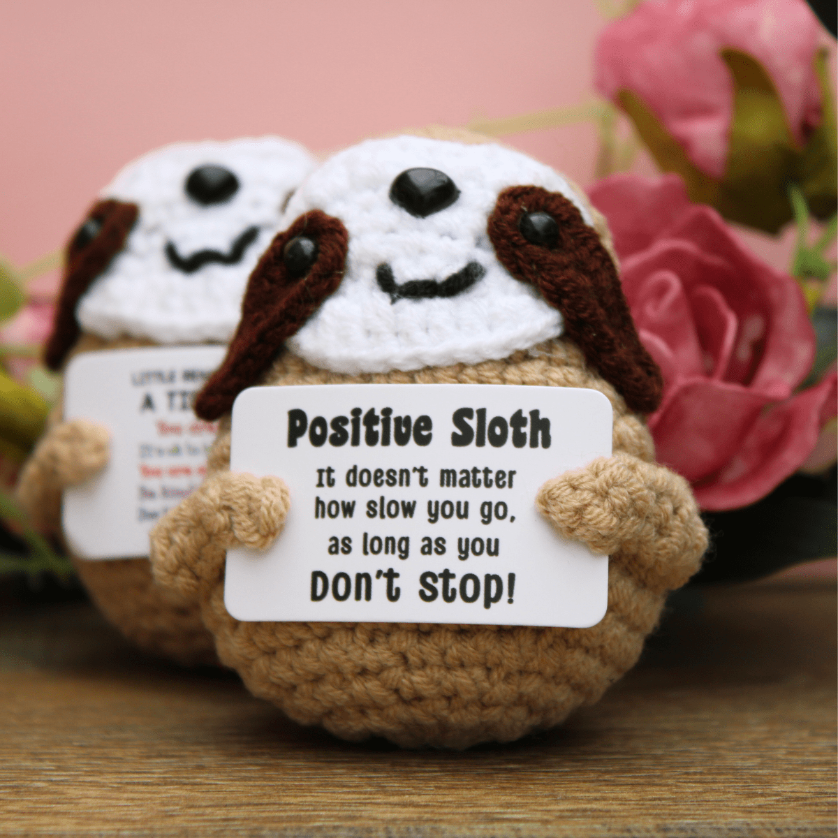 Positive Sloth 🦥 - Pockets of Bliss