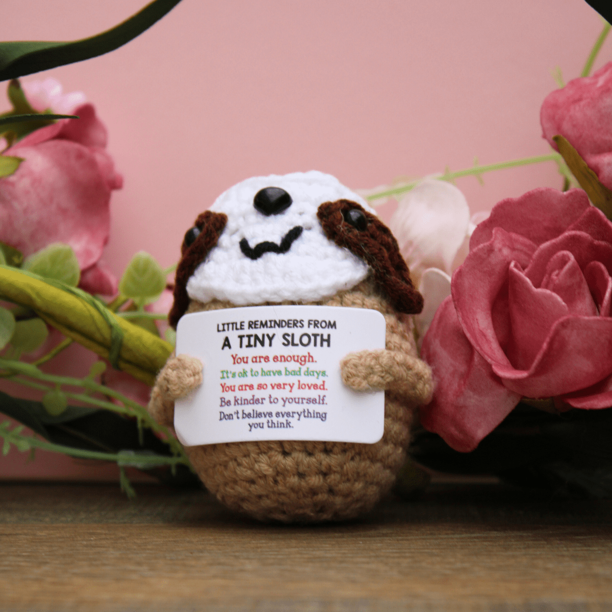 Positive Sloth 🦥 - Pockets of Bliss