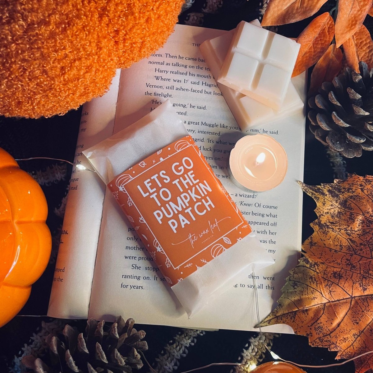 Let’s Go To The Pumpkin Patch Autumn Soy Wax Melts - Pockets of Bliss