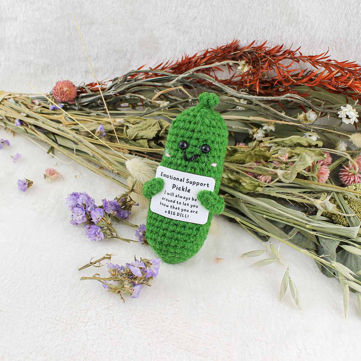 Emotional Support Pickle - Pockets of Bliss