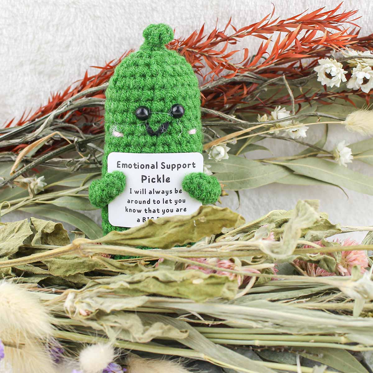 Emotional Support Pickle - Pockets of Bliss