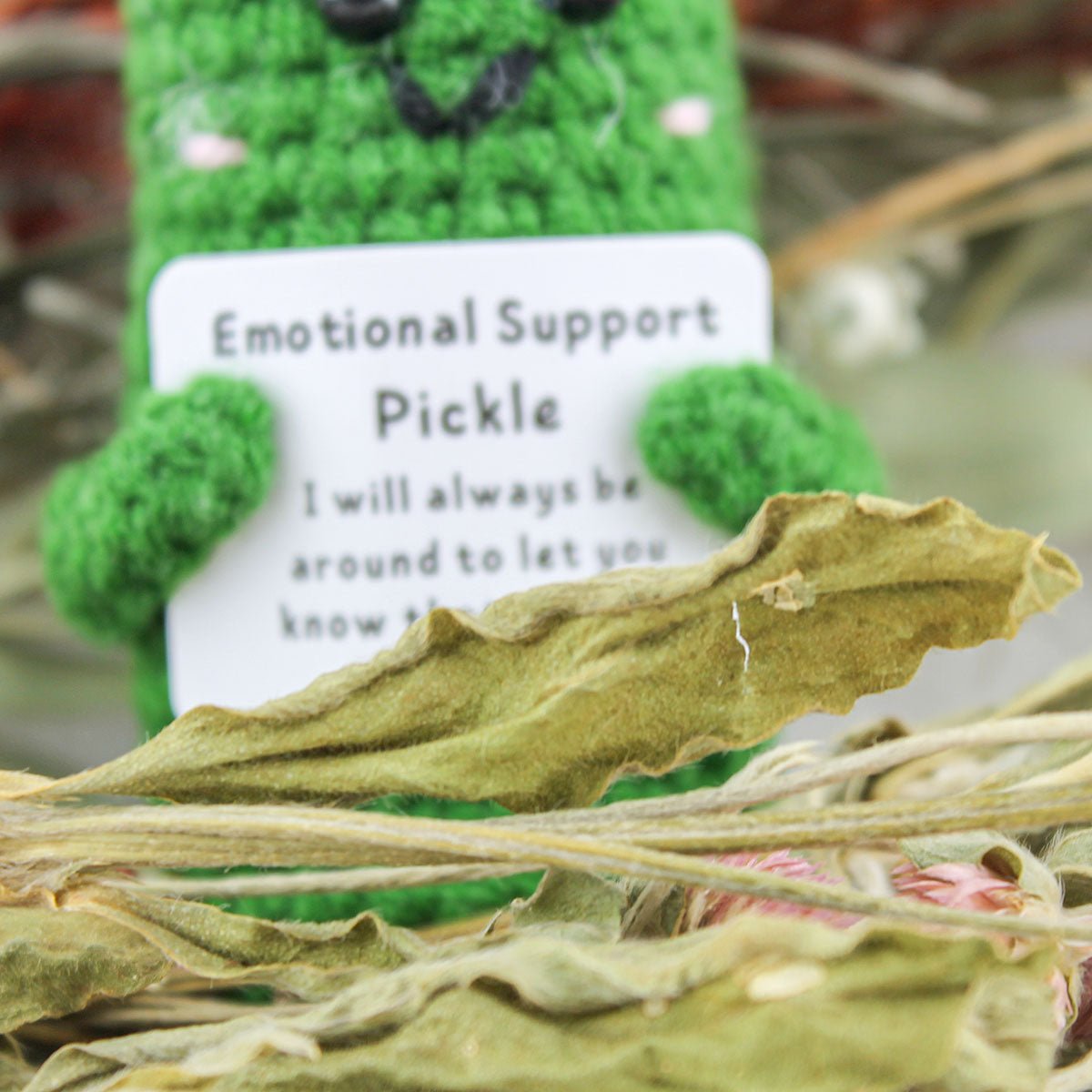 Emotional Support Pickle - Pockets of Bliss