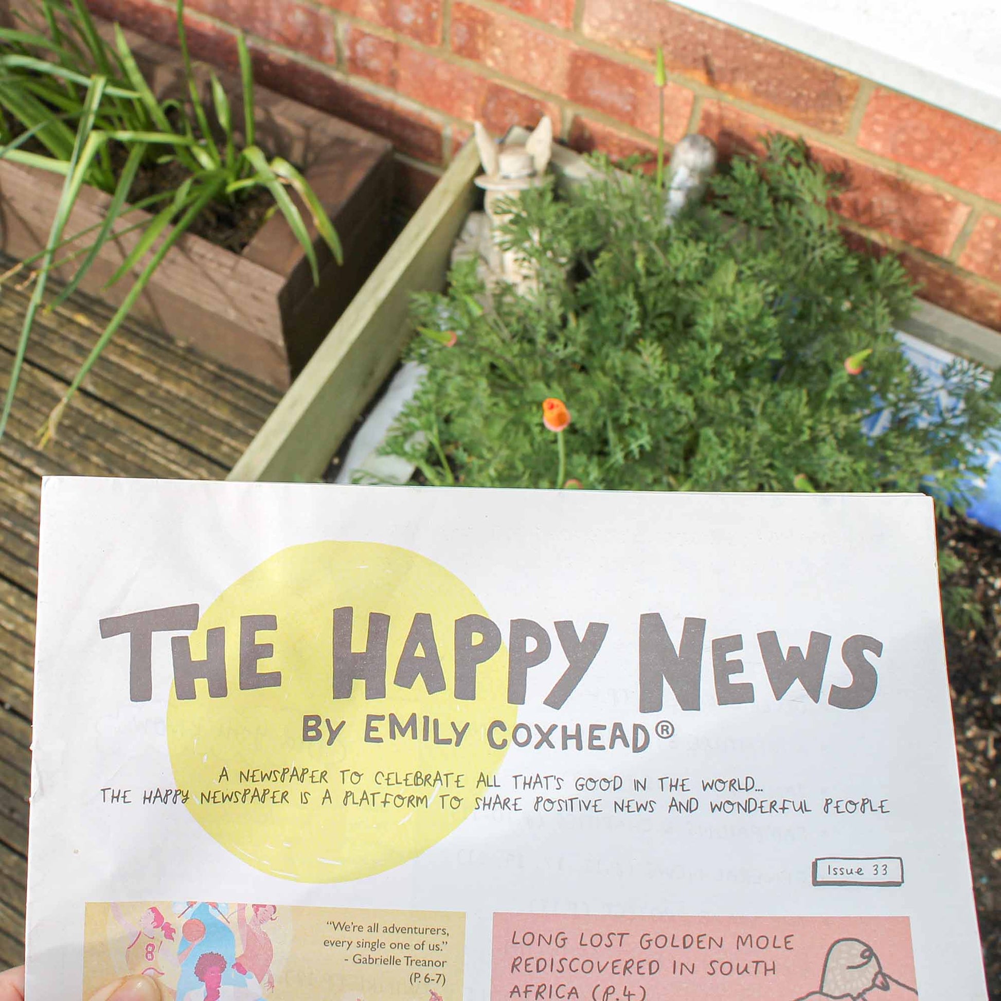 The Happy News | Newspaper