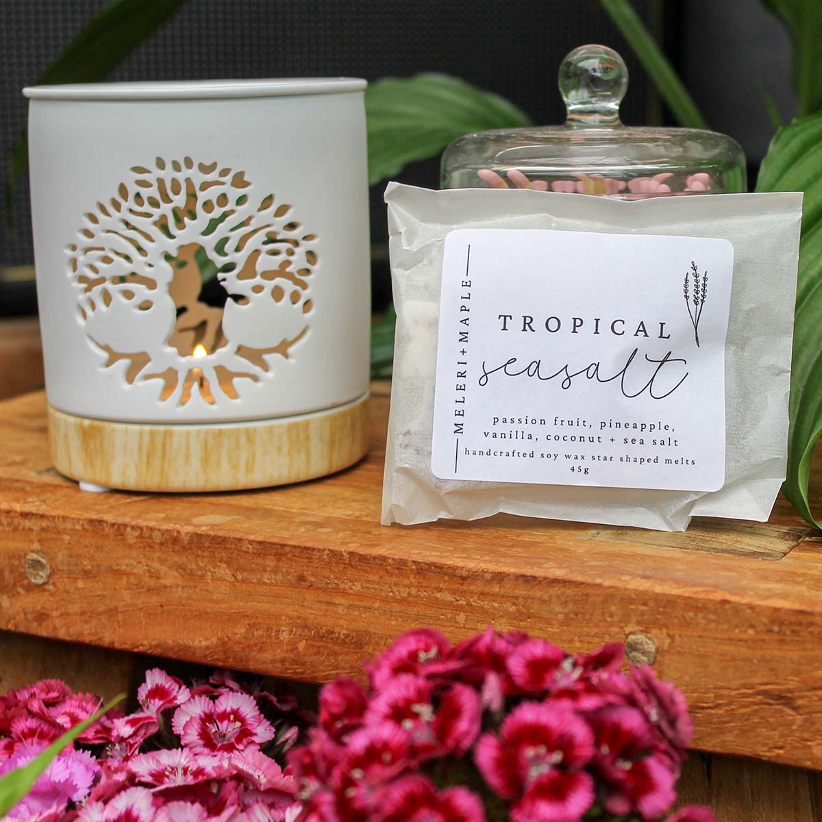 Tropical Seasalt Scented Star Shaped Soy Wax Melts - Pockets of Bliss