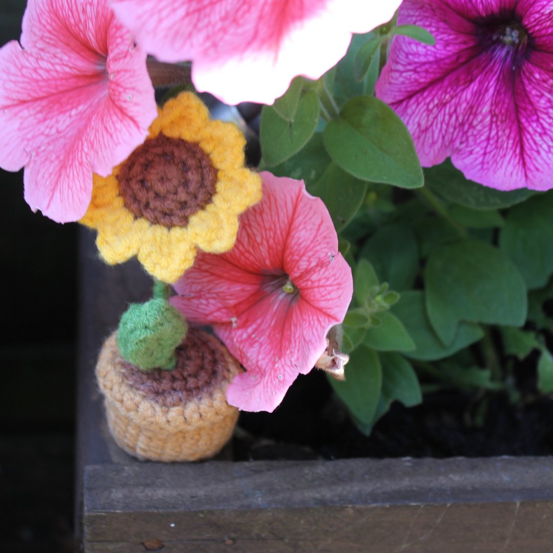 Potted Sunflower - Pockets of Bliss