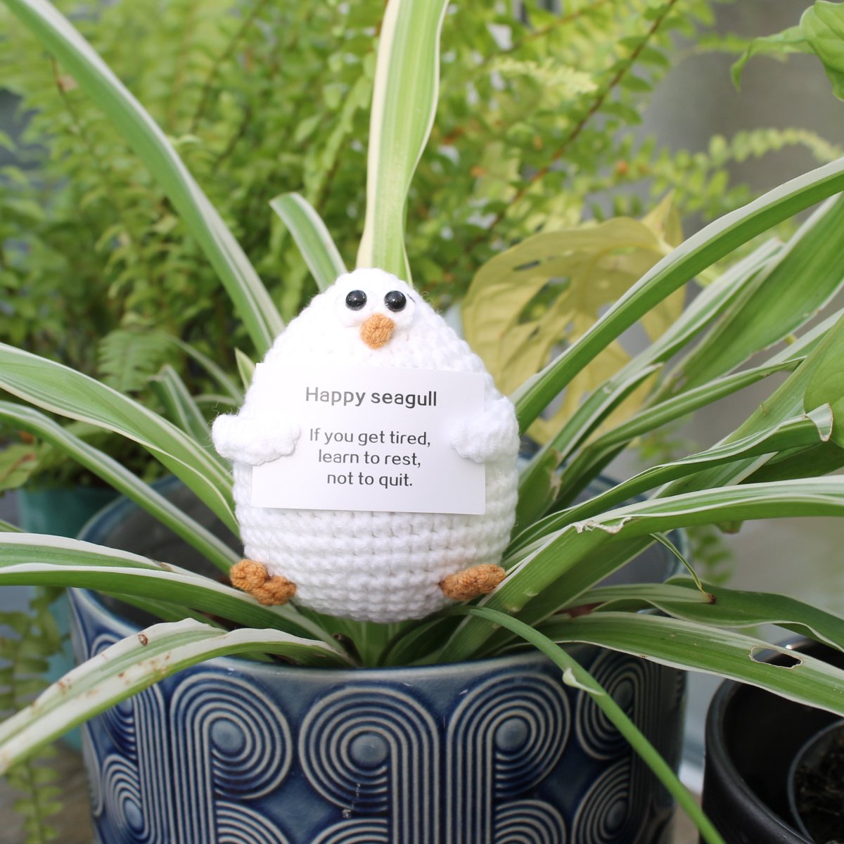 Happy Seagull - Pockets of Bliss