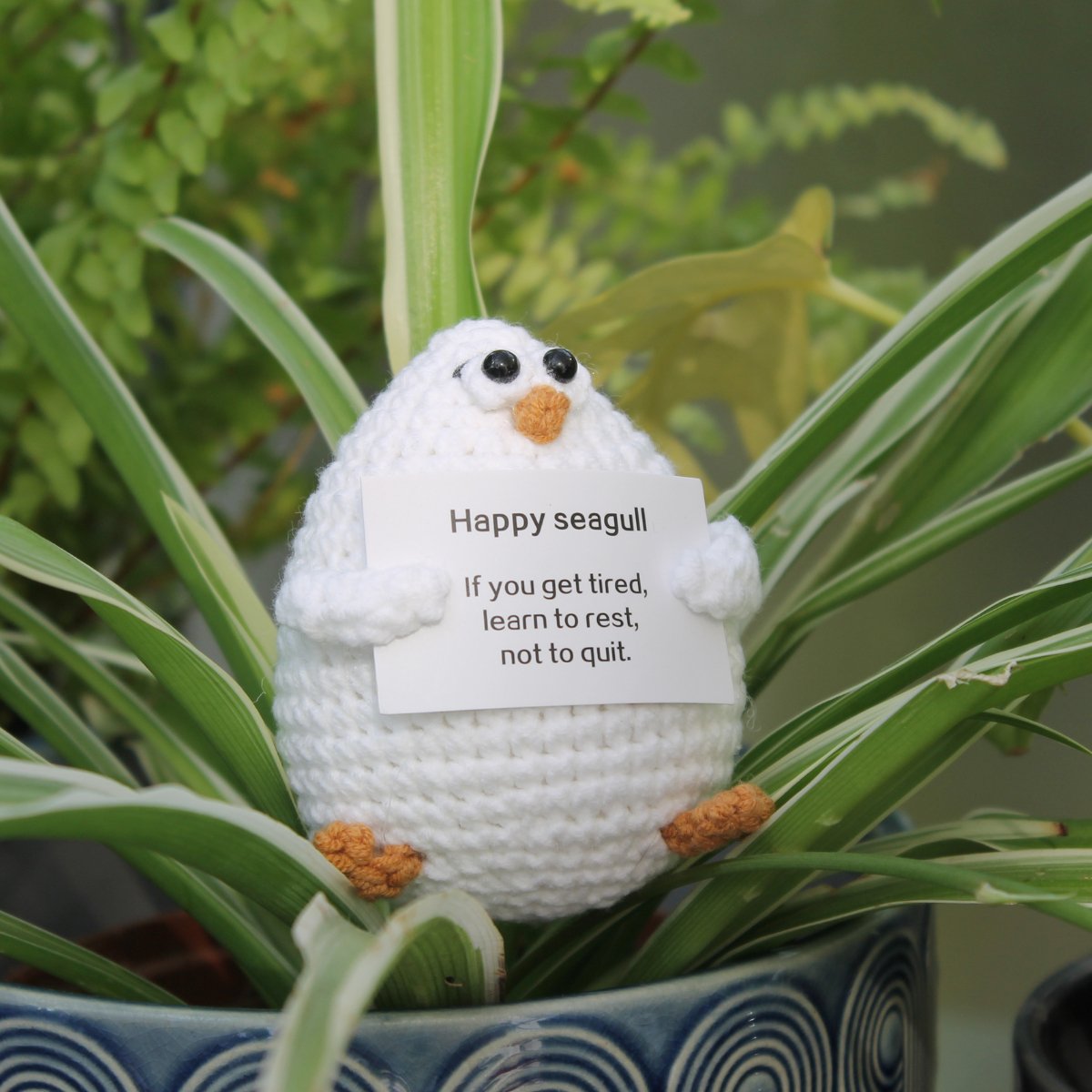 Happy Seagull - Pockets of Bliss