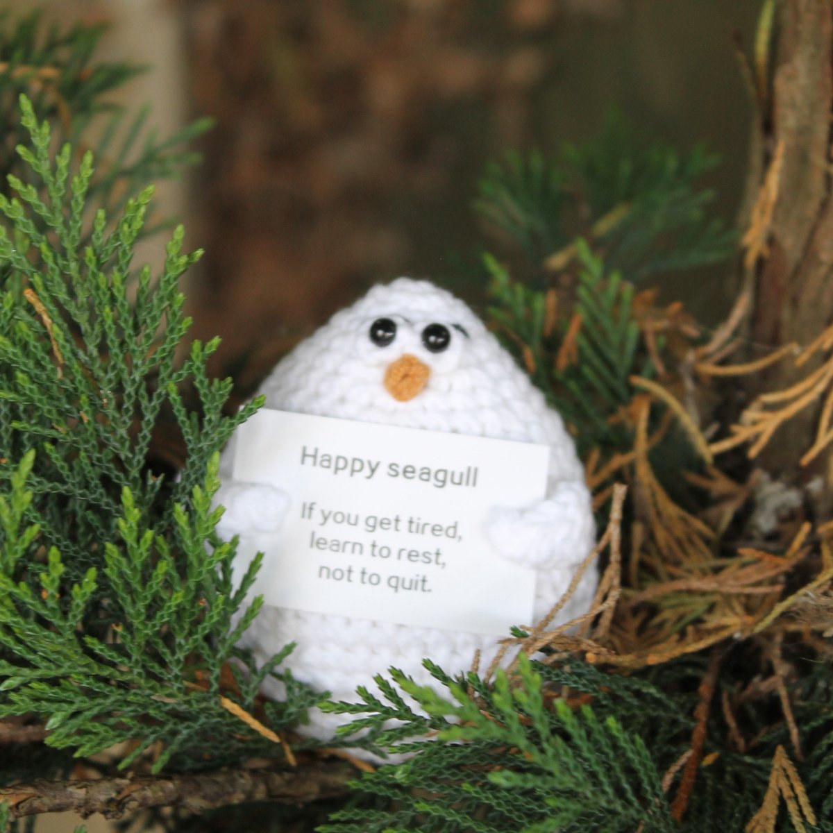 Happy Seagull - Pockets of Bliss