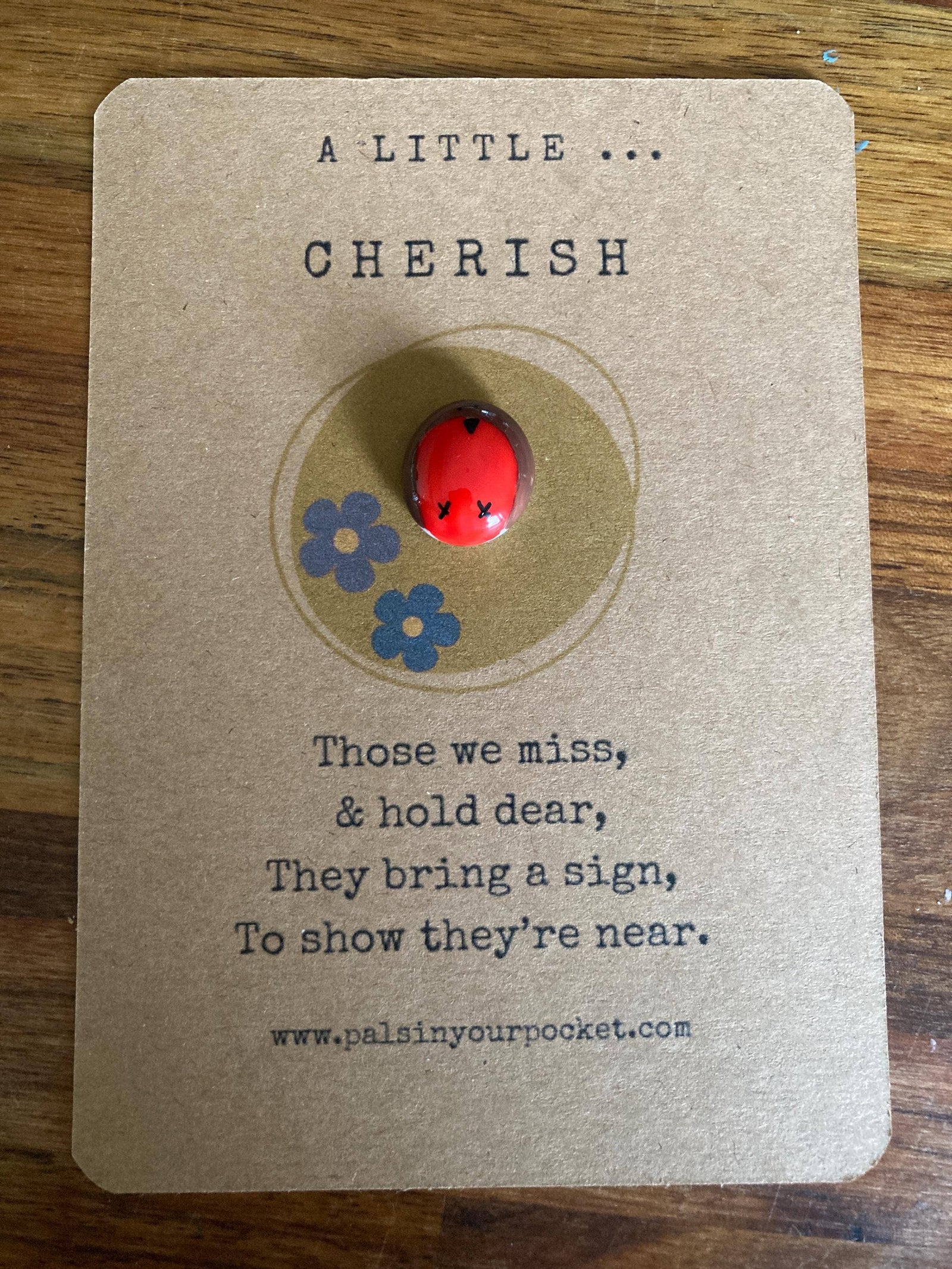 A Little Cherish Pocket Token – Memorial Ladybird Gift - Pockets of Bliss