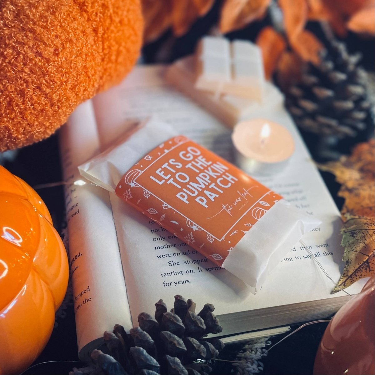 Let’s Go To The Pumpkin Patch Autumn Soy Wax Melts - Pockets of Bliss