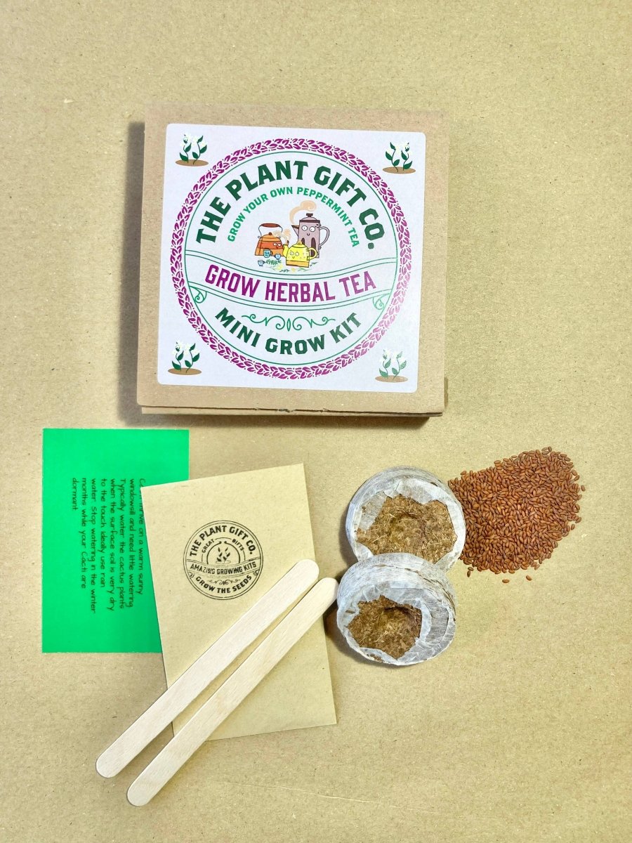 Herbal Tea. Eco Mini Grow-Kit (only ship within the UK) - Pockets of Bliss
