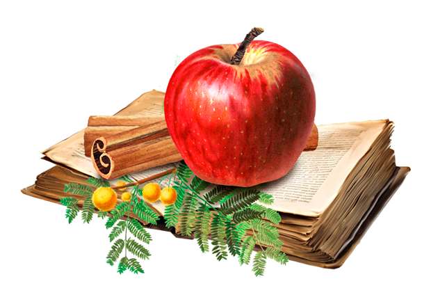 Lady Joseph Apple &amp; Cinnamon Biscuits – Vegan Artisan Cookies - Pockets of Bliss