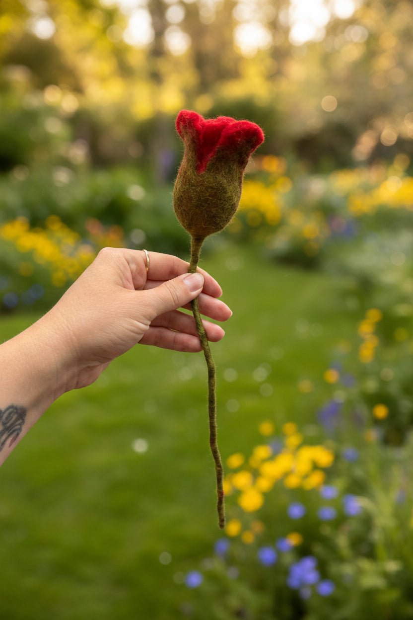 Single Red Rose - Pockets of Bliss